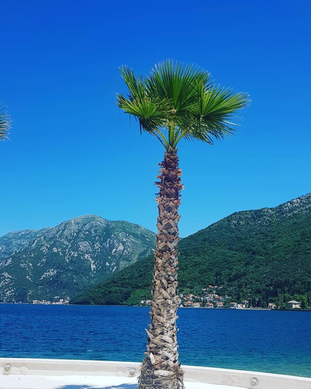 Apartman Taraca Villa Knezevic Herceg Novi Room photo